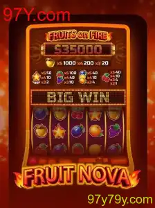 Explorando o Universo de FruitNova: Um Mergulho nas Regras e Estratégias do Jogo
